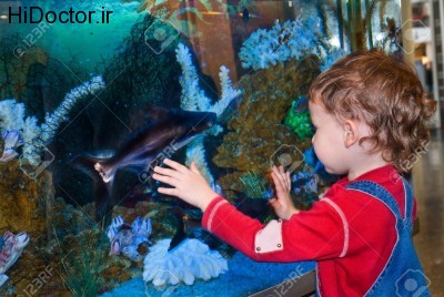 4178756-4-year-old-boy-watching-fish-in-the-aquarium-Stock-Photo
