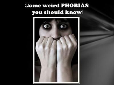 some-weird-phobias-you-need-to-know-1-728