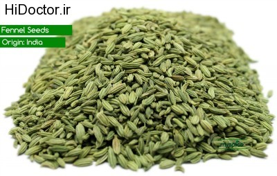 Fennel-Seeds-2
