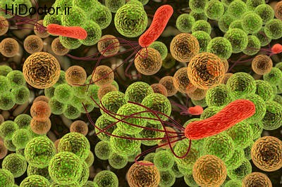 colorful-bacteria-staph
