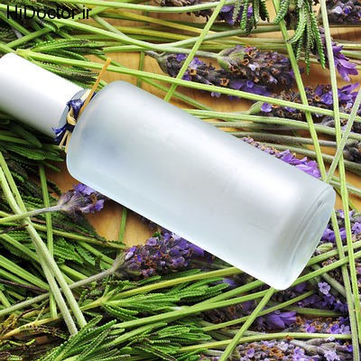 lavender-oil-bug-repellent-opt