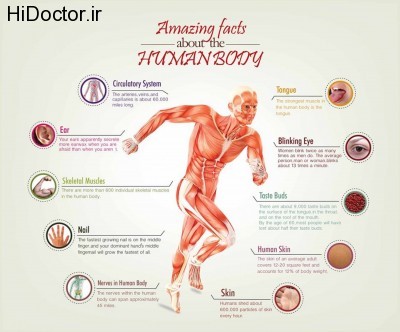 دانستنیهای جالب پزشکی 14