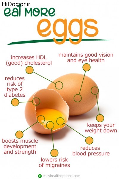 eat-more-eggs