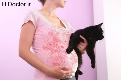cat-pregnant-woman