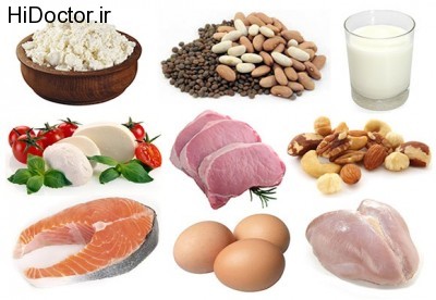 Hrana-bogata-proteinima
