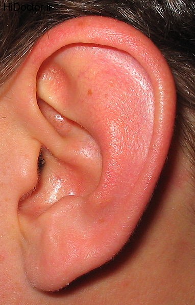 ear_picture