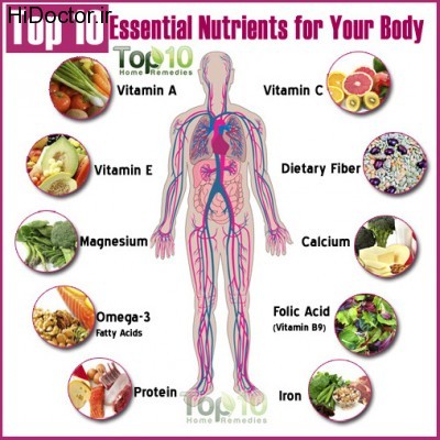 essential-nutrients-humna-body-21