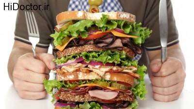 large-sandwich