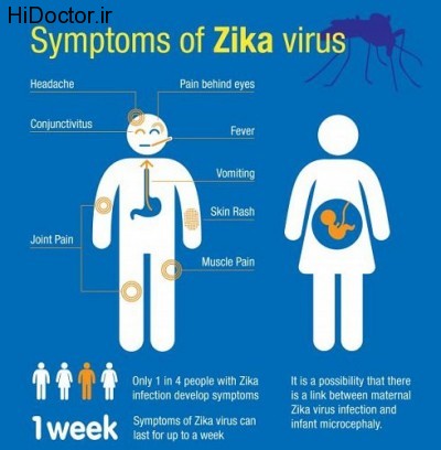 infographic-showing-symptoms-of-zika-virus