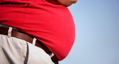 Scientists-claim-that-obesity-can-be-contagious-due-to-gut-bacteria