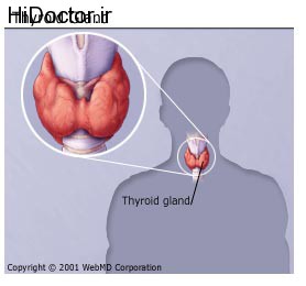 Thyroid_Gland