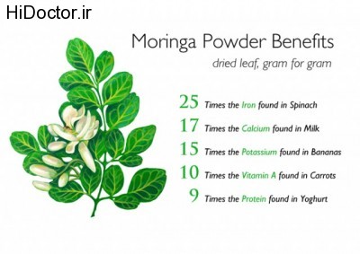 moringa-powder-diagram1-e1412923509114