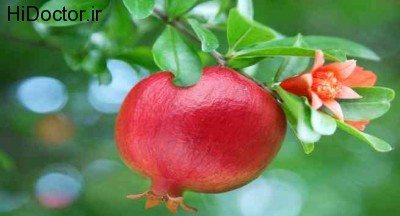 pomegranate-diabetes