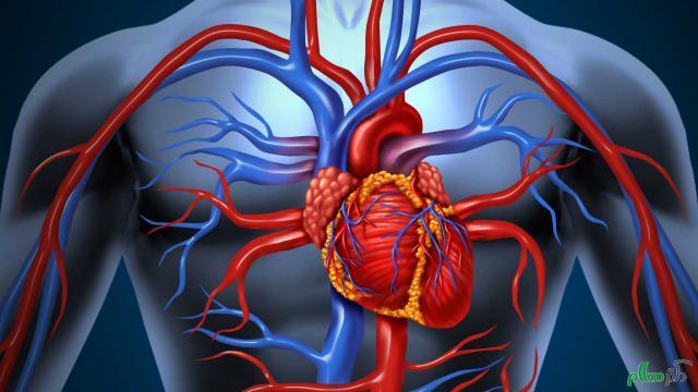 HG473_arteries-congestive-heart-failure_FS