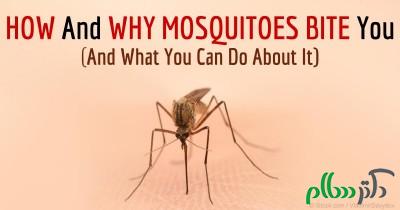 how-why-mosquitoes-bite-fb