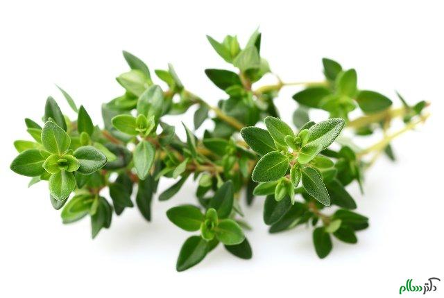 15-Health-Benefits-Of-Thyme-for-Health-Skin-And-Hair