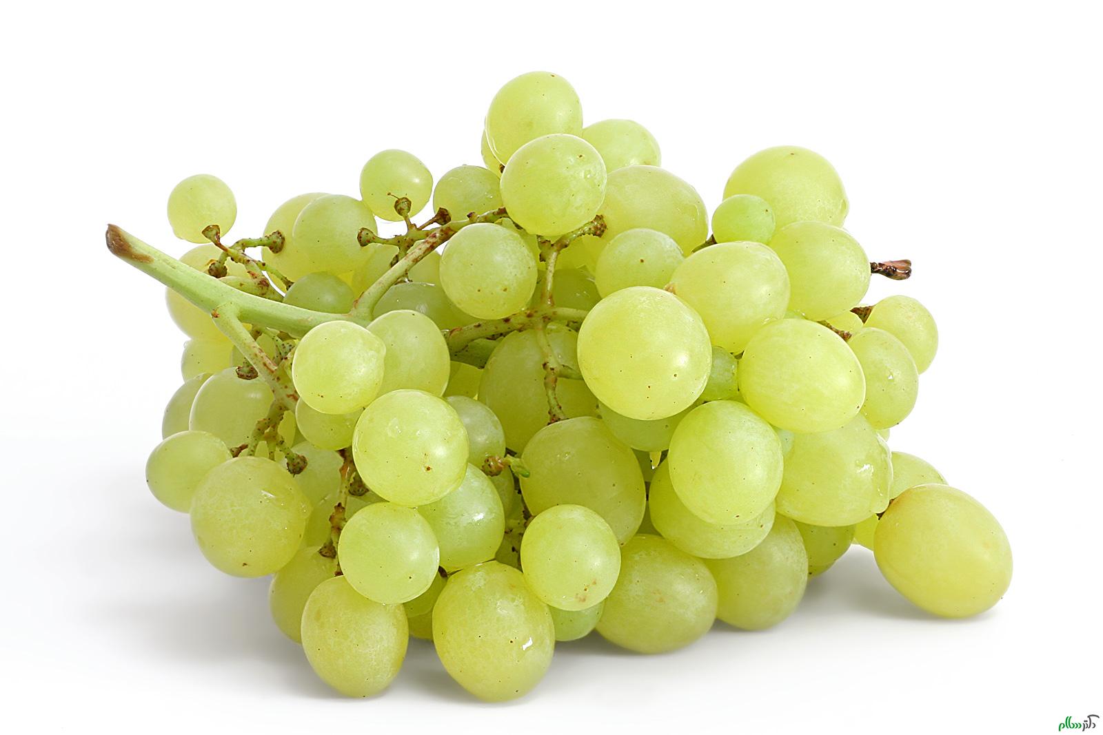 Table_grapes_on_white