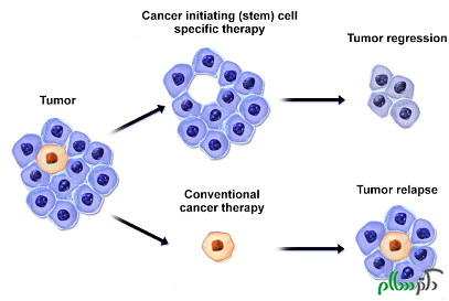 Targeted-Cancer-Sub-2