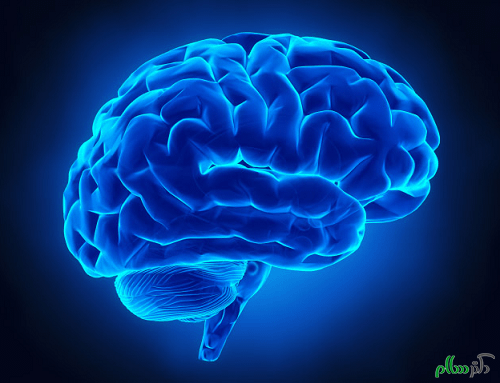 کدام مواد غذایی به مغز آسیب میزنند؟