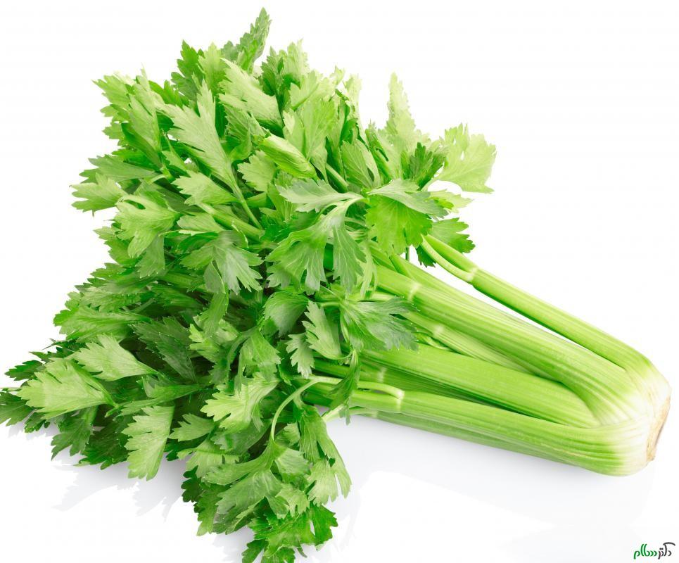 celery-against-white-background