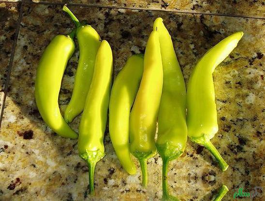 hungarian-wax-peppers