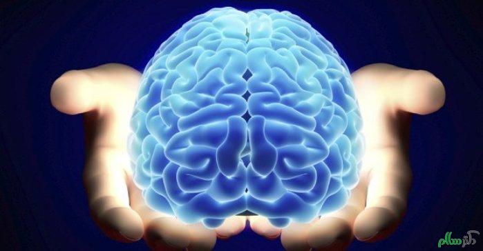 کشف عروق خونی ناشناخته در مغز انسان
