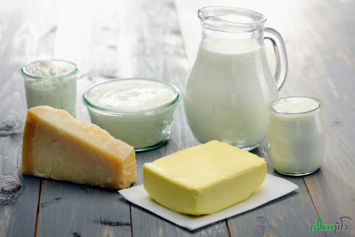 Dairy Products; milk,cheese,ricotta, yogurt and butter