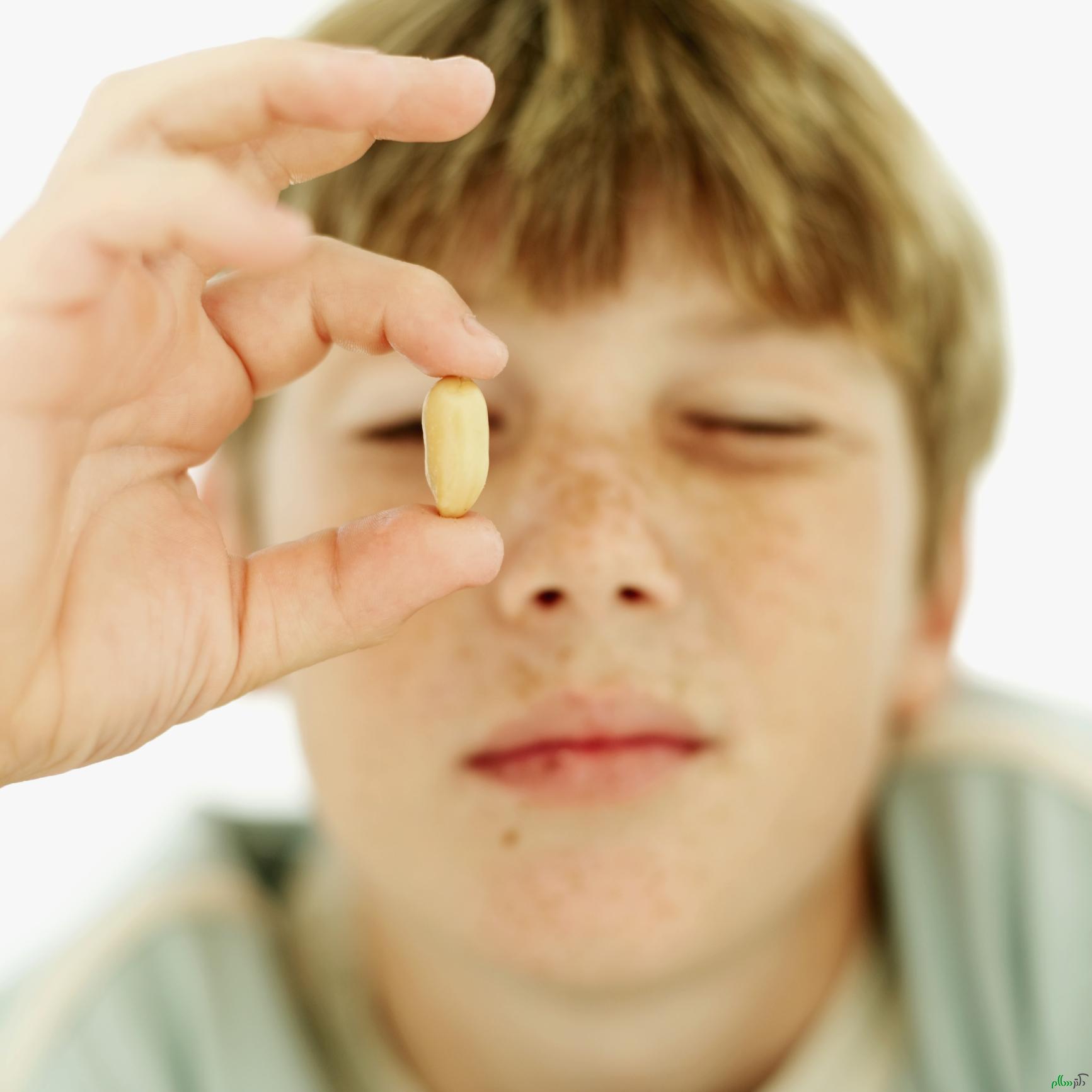close-up of a boy holding a peanut