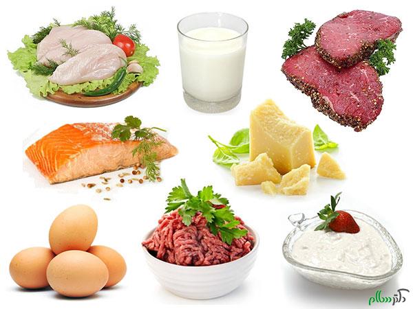 کدام مواد غذایی بیشترین پروتئین را دارند؟