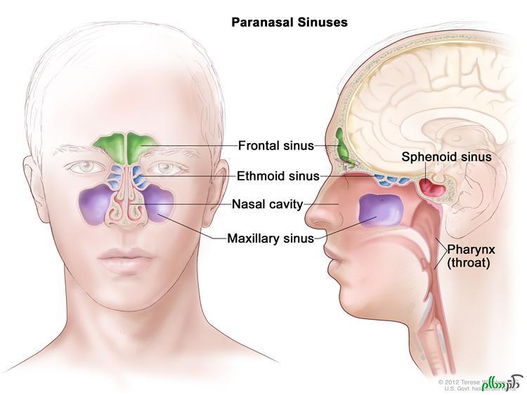 آیا علائم تومور بینی و سینوس را میدانید؟