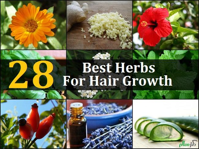 28-best-herbs-for-hair-growth