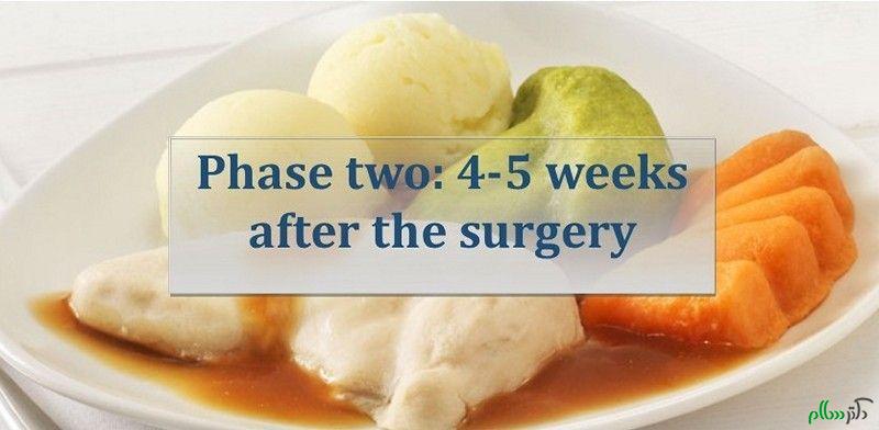 lebanese-diet-after-weight-loss-surgery-second-phase-puree-and-mashed-food