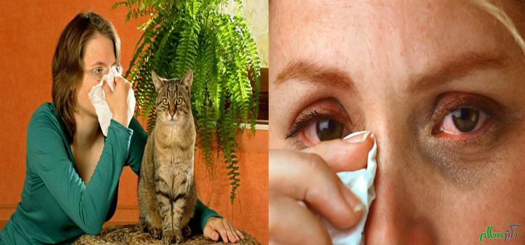 your-pet-may-mean-the-world-to-you-but-you-need-to-know-about-cat-allergies-to-stay-healthy-and-safe-too-1