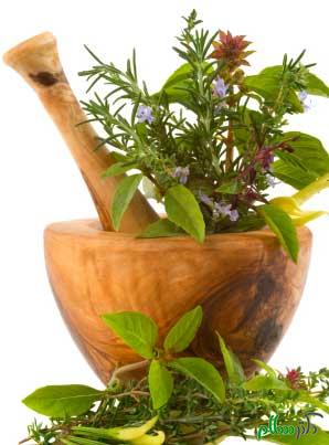 medicine_herbs-in-pestle