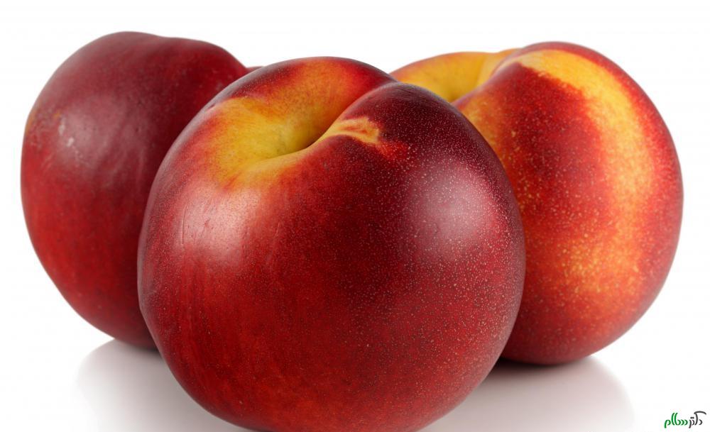 nectarine