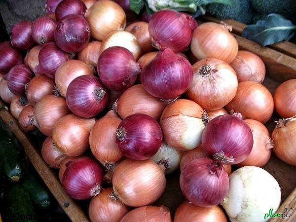 onions-e1422372466647