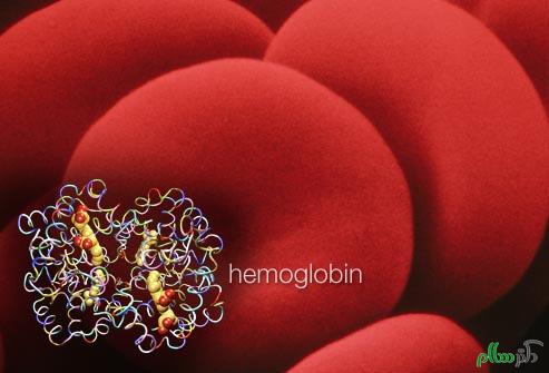 princ_rm_photo_of_red_blood_cells