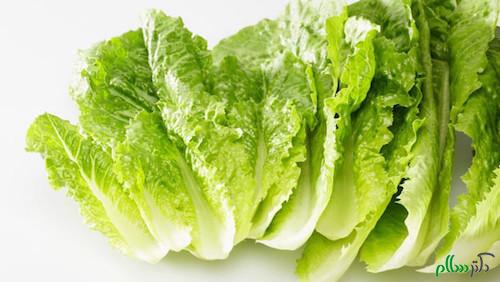 romaine-lettuce1