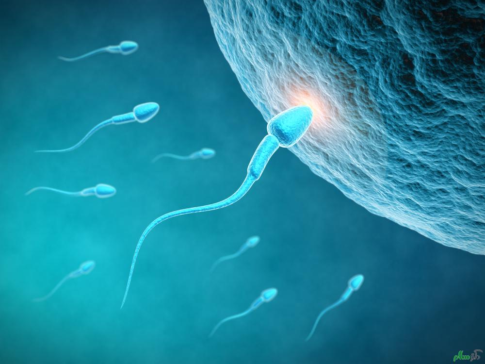 sperm-motility