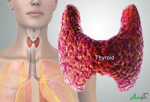 webmd_rm_photo_of_thyroid_diagram