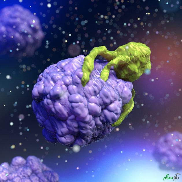 Killer T-lymphocyte attacking a cancer cell