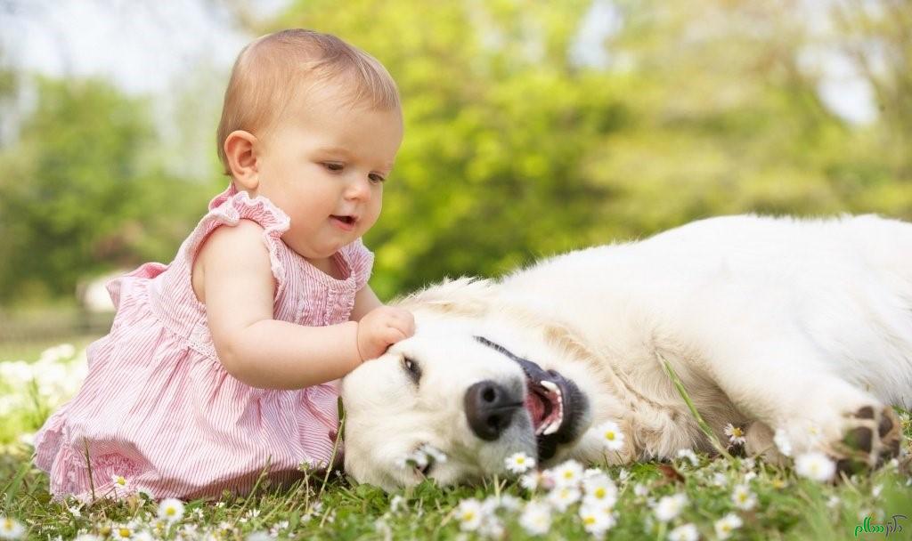 cute-baby-girl-playing-with-dog1