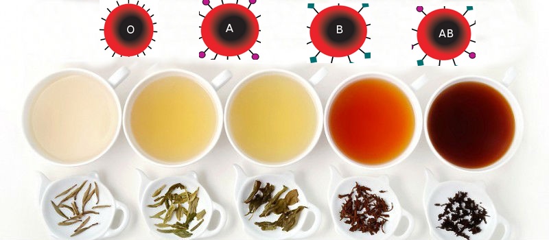 learn-which-teas-are-best-for-your-blood-type