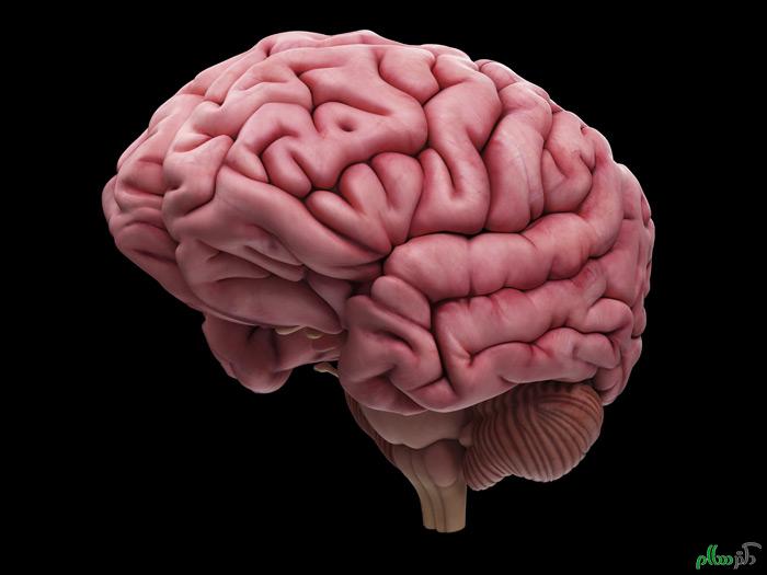 آیا بعد از زایمان، مغز دچار تغییر میشود؟!