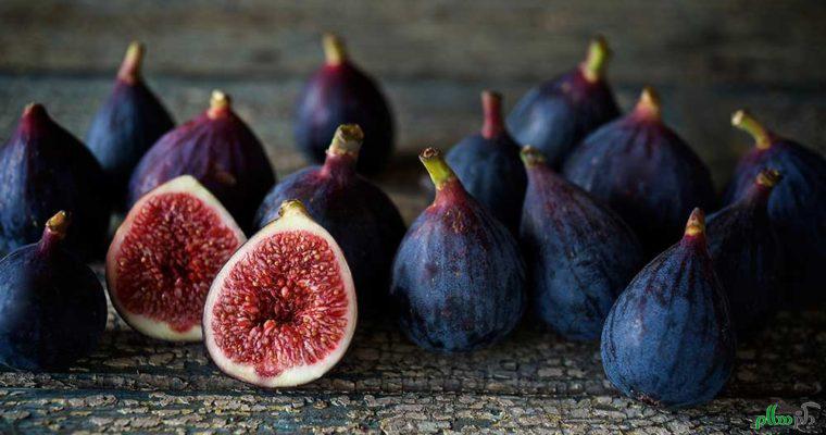 figs-featured-760x400