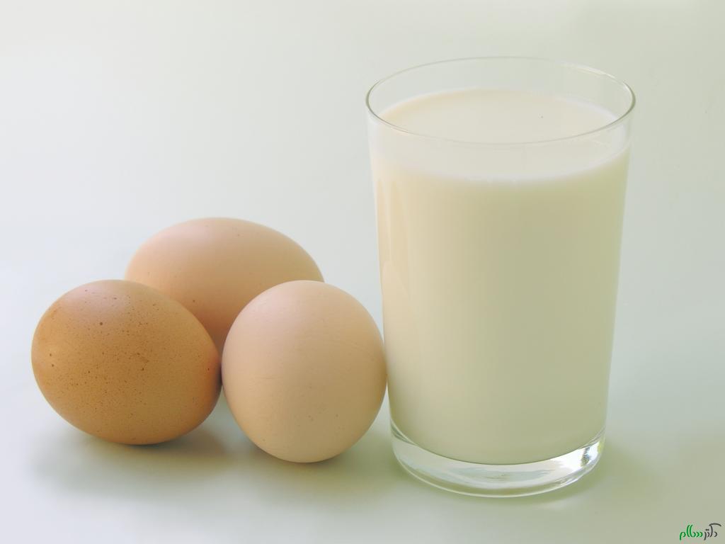 milk-egg