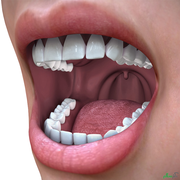 oral-systemic-health