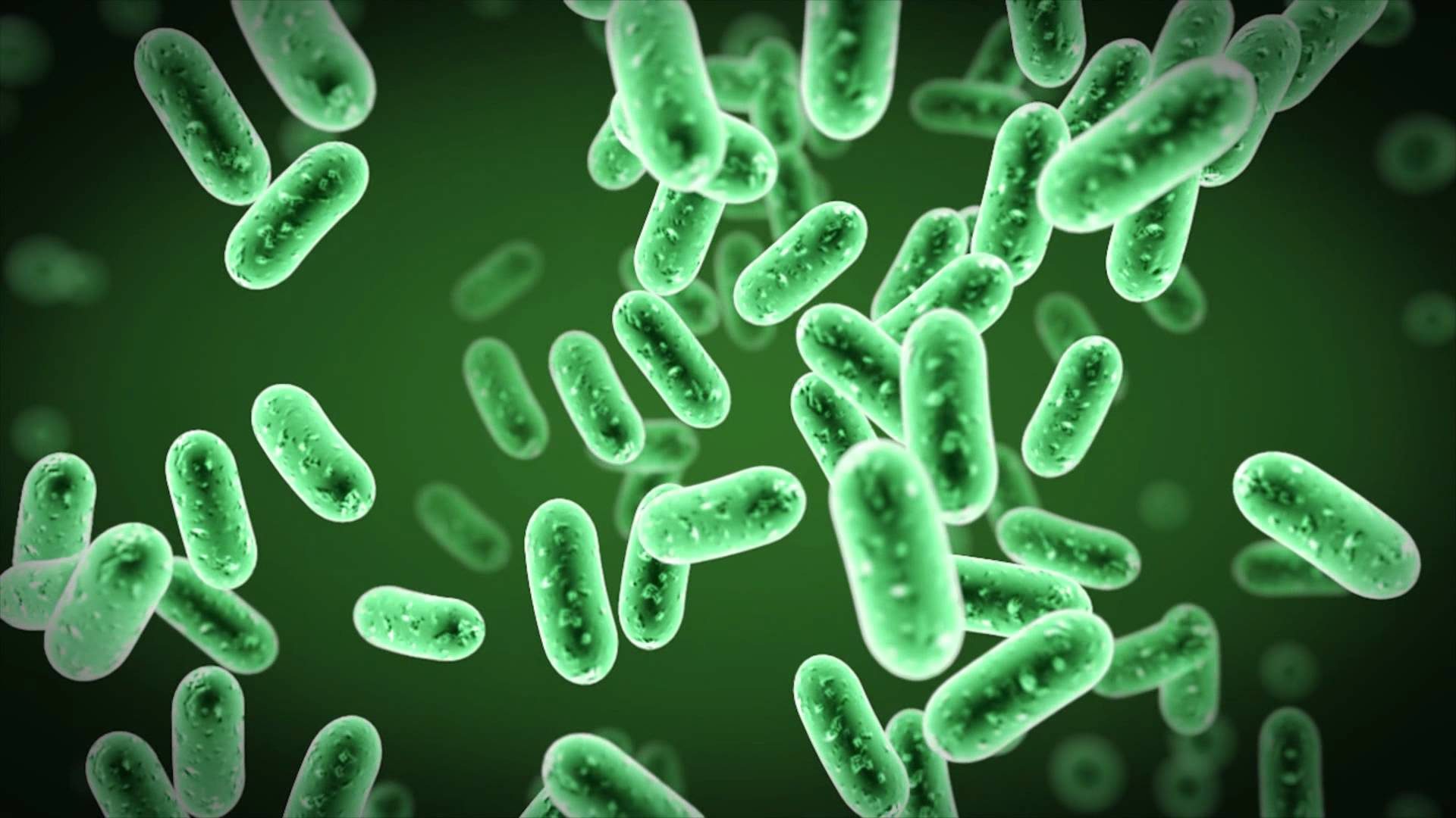 beneficial-bacteria-green