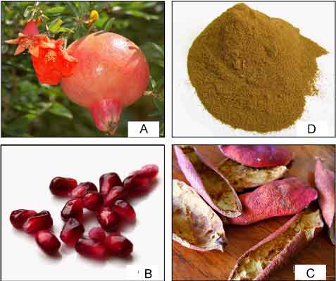 pomegranate-peel-powder-health-benefits-uses-and-how-to