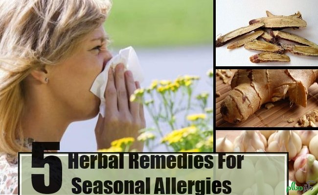 مراقبت از سیستم ایمنی برای رفع آلرژیseasonal-allergies